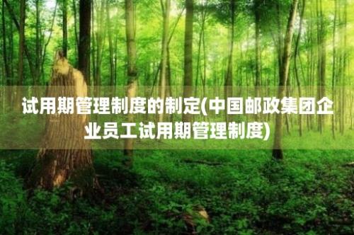 试用期管理制度的制定(中国邮政集团企业员工试用期管理制度)