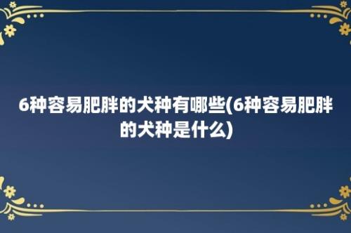 6种容易肥胖的犬种有哪些(6种容易肥胖的犬种是什么)