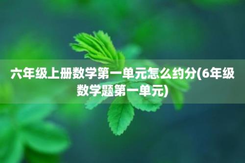 六年级上册数学第一单元怎么约分(6年级数学题第一单元)