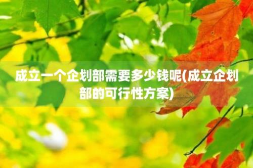 成立一个企划部需要多少钱呢(成立企划部的可行性方案)