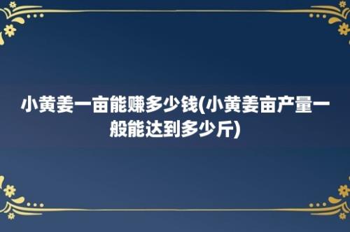 小黄姜一亩能赚多少钱(小黄姜亩产量一般能达到多少斤)