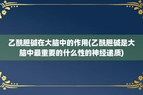 乙酰胆碱在大脑中的作用(乙酰胆碱是大脑中最重要的什么性的神经递质)