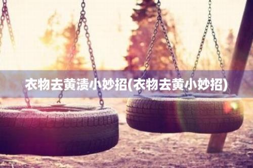 衣物去黄渍小妙招(衣物去黄小妙招)