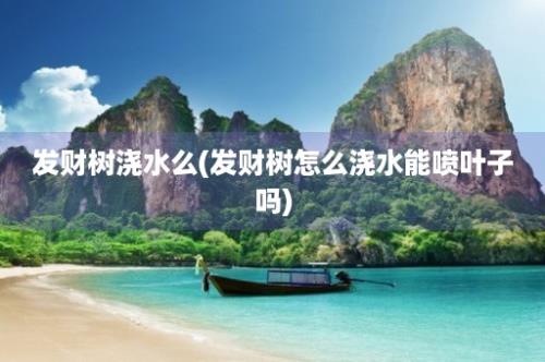 发财树浇水么(发财树怎么浇水能喷叶子吗)