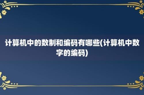 计算机中的数制和编码有哪些(计算机中数字的编码)