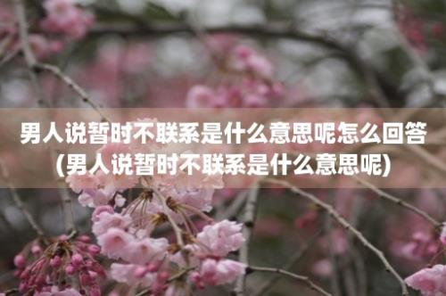 男人说暂时不联系是什么意思呢怎么回答(男人说暂时不联系是什么意思呢)