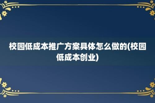 校园低成本推广方案具体怎么做的(校园低成本创业)