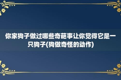 你家狗子做过哪些奇葩事让你觉得它是一只狗子(狗做奇怪的动作)