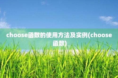 choose函数的使用方法及实例(choose 函数)