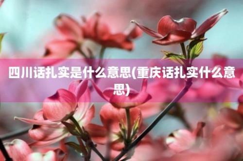 四川话扎实是什么意思(重庆话扎实什么意思)