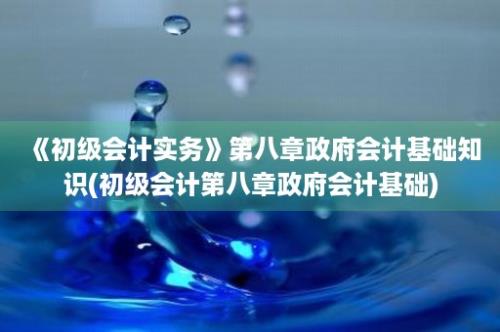 《初级会计实务》第八章政府会计基础知识(初级会计第八章政府会计基础)