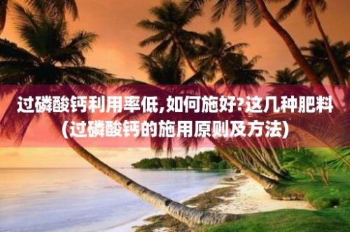 过磷酸钙利用率低,如何施好?这几种肥料(过磷酸钙的施用原则及方法)