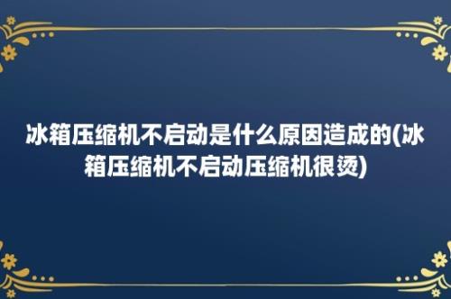 冰箱压缩机不启动是什么原因造成的(冰箱压缩机不启动压缩机很烫)