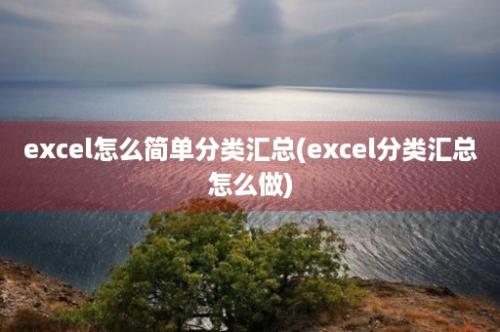 excel怎么简单分类汇总(excel分类汇总怎么做)