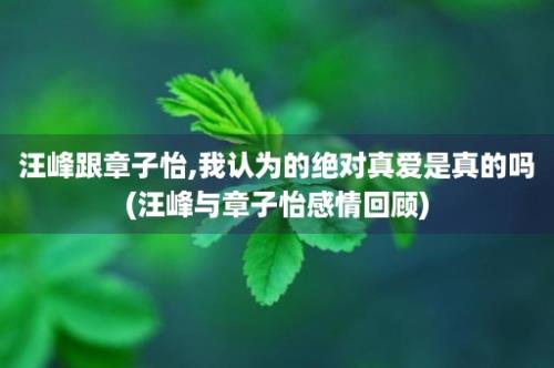 汪峰跟章子怡,我认为的绝对真爱是真的吗(汪峰与章子怡感情回顾)