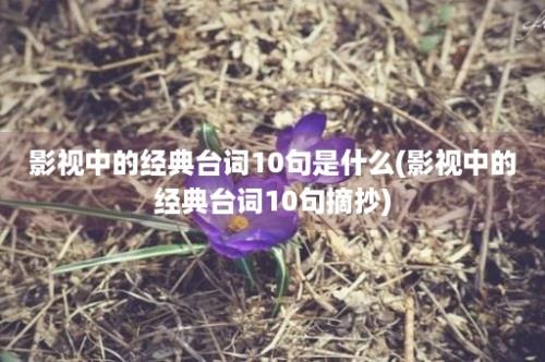 影视中的经典台词10句是什么(影视中的经典台词10句摘抄)