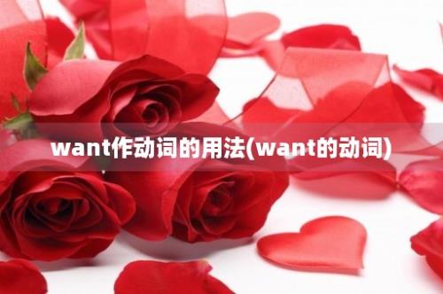 want作动词的用法(want的动词)