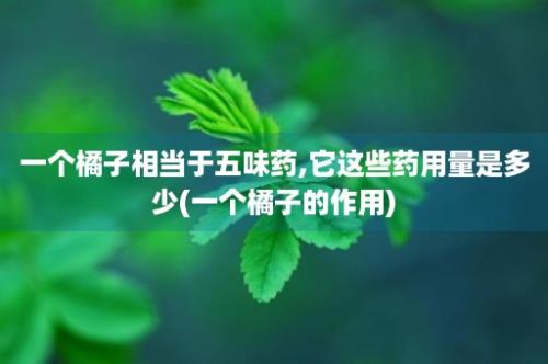 一个橘子相当于五味药,它这些药用量是多少(一个橘子的作用)