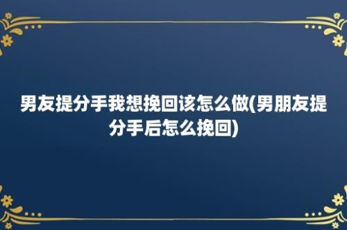 男友提分手我想挽回该怎么做(男朋友提分手后怎么挽回)