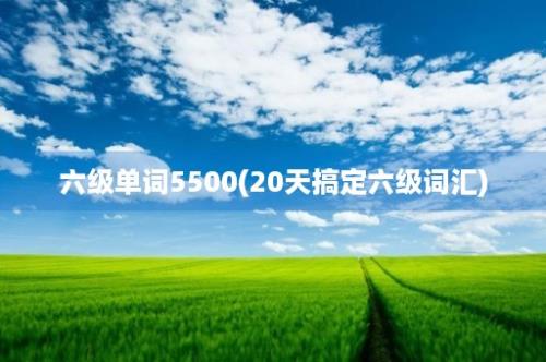 六级单词5500(20天搞定六级词汇)