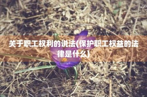 关于职工权利的说法(保护职工权益的法律是什么)