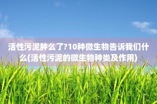 活性污泥肿么了?10种微生物告诉我们什么(活性污泥的微生物种类及作用)