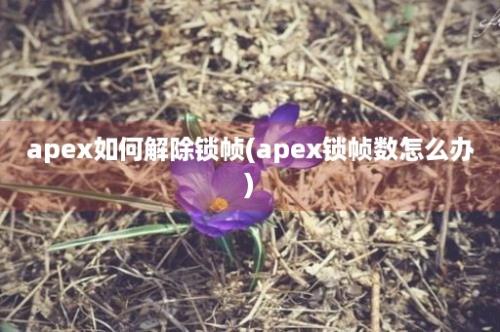 apex如何解除锁帧(apex锁帧数怎么办)