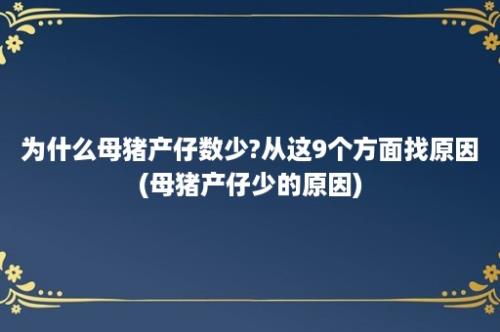 为什么母猪产仔数少?从这9个方面找原因(母猪产仔少的原因)