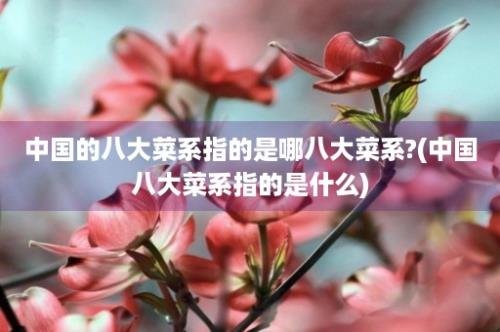 中国的八大菜系指的是哪八大菜系?(中国八大菜系指的是什么)