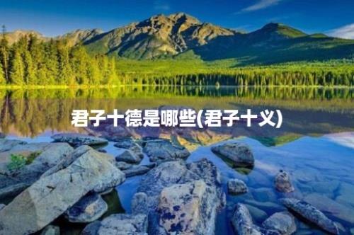 君子十德是哪些(君子十义)