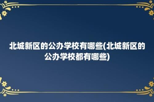 北城新区的公办学校有哪些(北城新区的公办学校都有哪些)