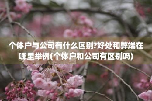 个体户与公司有什么区别?好处和弊端在哪里举例(个体户和公司有区别吗)