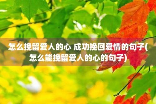 怎么挽留爱人的心 成功挽回爱情的句子(怎么能挽留爱人的心的句子)