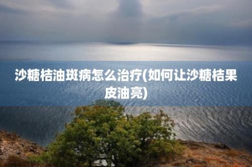 沙糖桔油斑病怎么治疗(如何让沙糖桔果皮油亮)