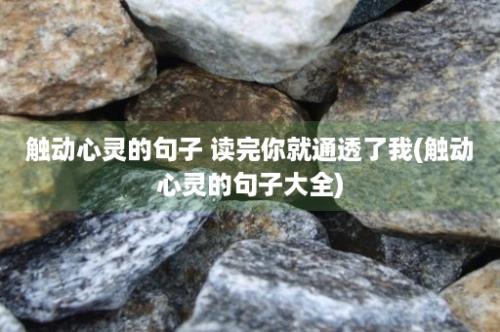 触动心灵的句子 读完你就通透了我(触动心灵的句子大全)