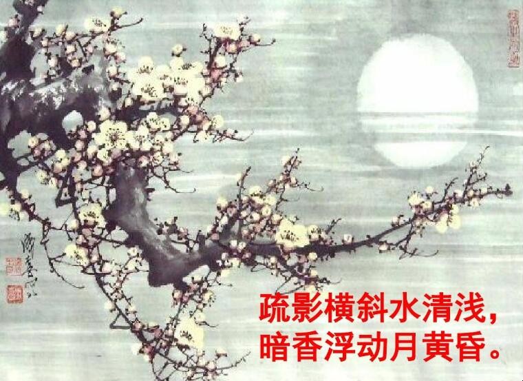 疏影横斜水清浅，暗香浮动月黄昏是什么意思