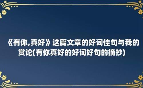 《有你,真好》这篇文章的好词佳句与我的赏论(有你真好的好词好句的摘抄)