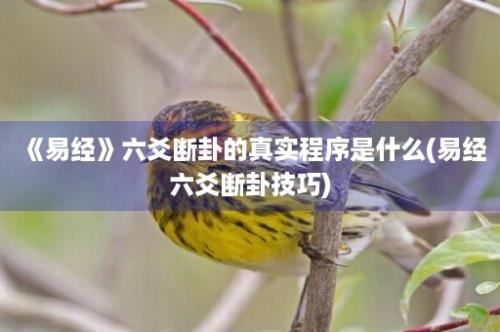 《易经》六爻断卦的真实程序是什么(易经六爻断卦技巧)