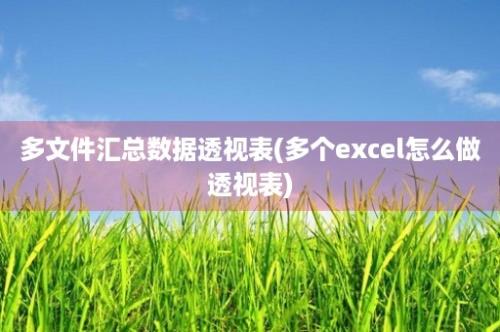 多文件汇总数据透视表(多个excel怎么做透视表)