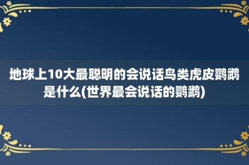 地球上10大最聪明的会说话鸟类虎皮鹦鹉是什么(世界最会说话的鹦鹉)