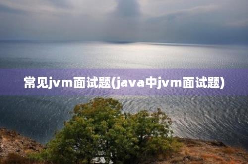 常见jvm面试题(java中jvm面试题)