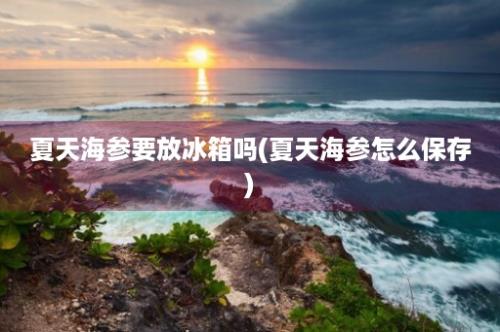 夏天海参要放冰箱吗(夏天海参怎么保存)