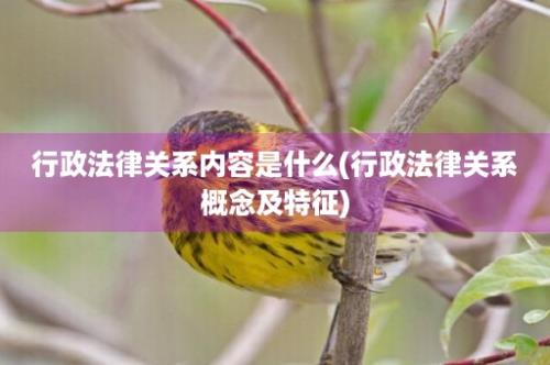 行政法律关系内容是什么(行政法律关系概念及特征)