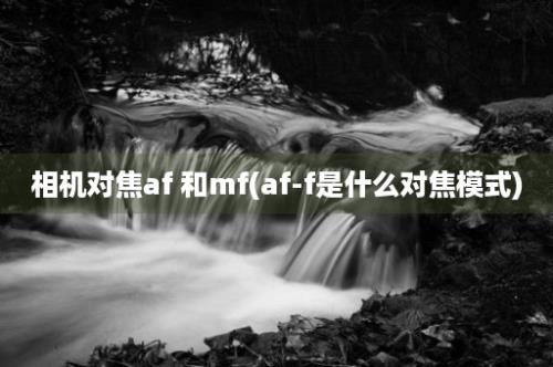 相机对焦af 和mf(af-f是什么对焦模式)