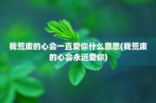 我荒废的心会一直爱你什么意思(我荒废的心会永远爱你)