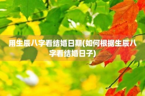 用生辰八字看结婚日期(如何根据生辰八字看结婚日子)