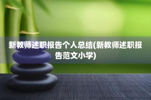 新教师述职报告个人总结(新教师述职报告范文小学)