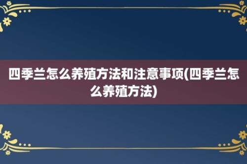 四季兰怎么养殖方法和注意事项(四季兰怎么养殖方法)