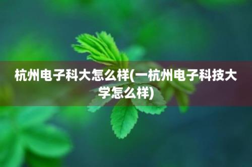 杭州电子科大怎么样(一杭州电子科技大学怎么样)