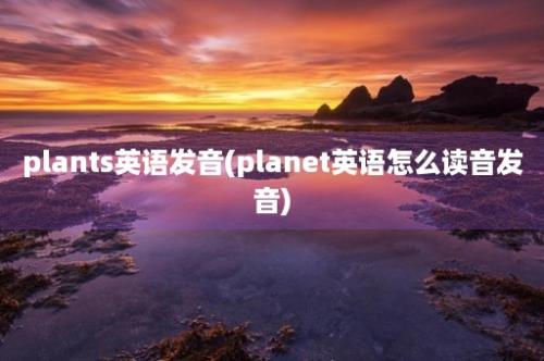 plants英语发音(planet英语怎么读音发音)